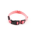 Coleira de Led para Pets Acade