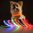 Coleira de Led para Pets Acade